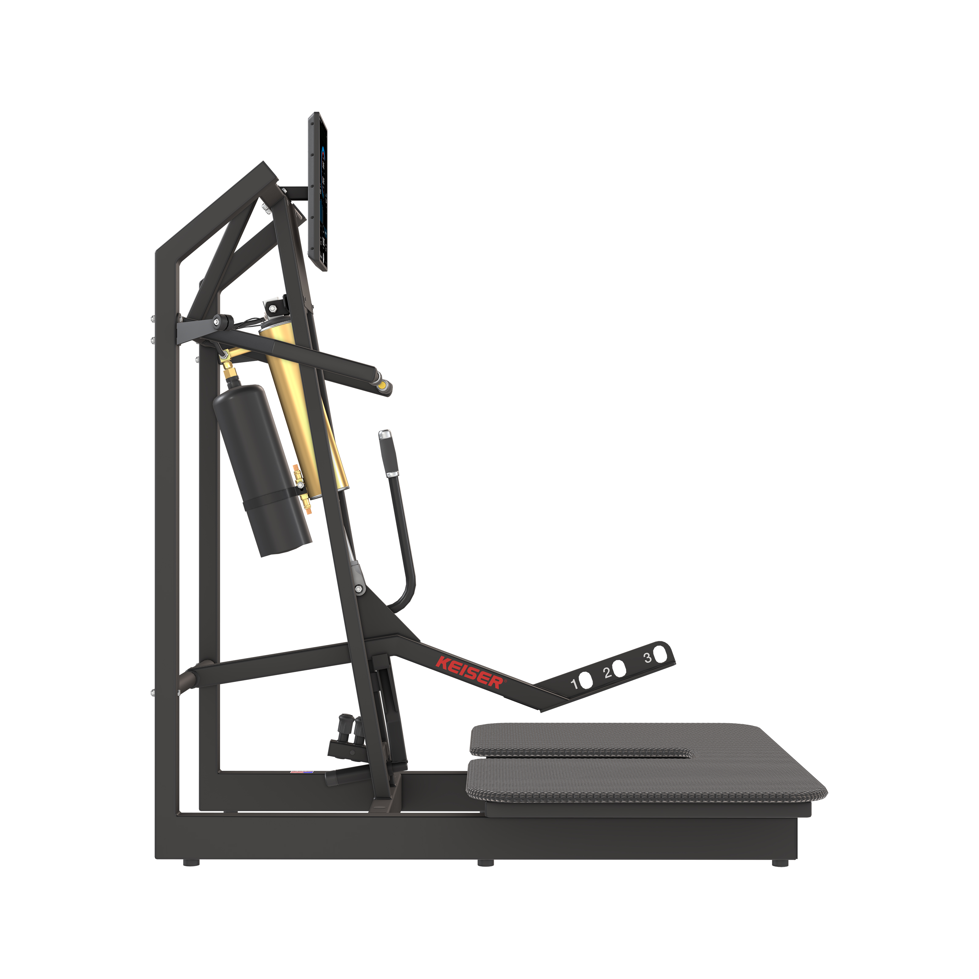 BELT SQUAT