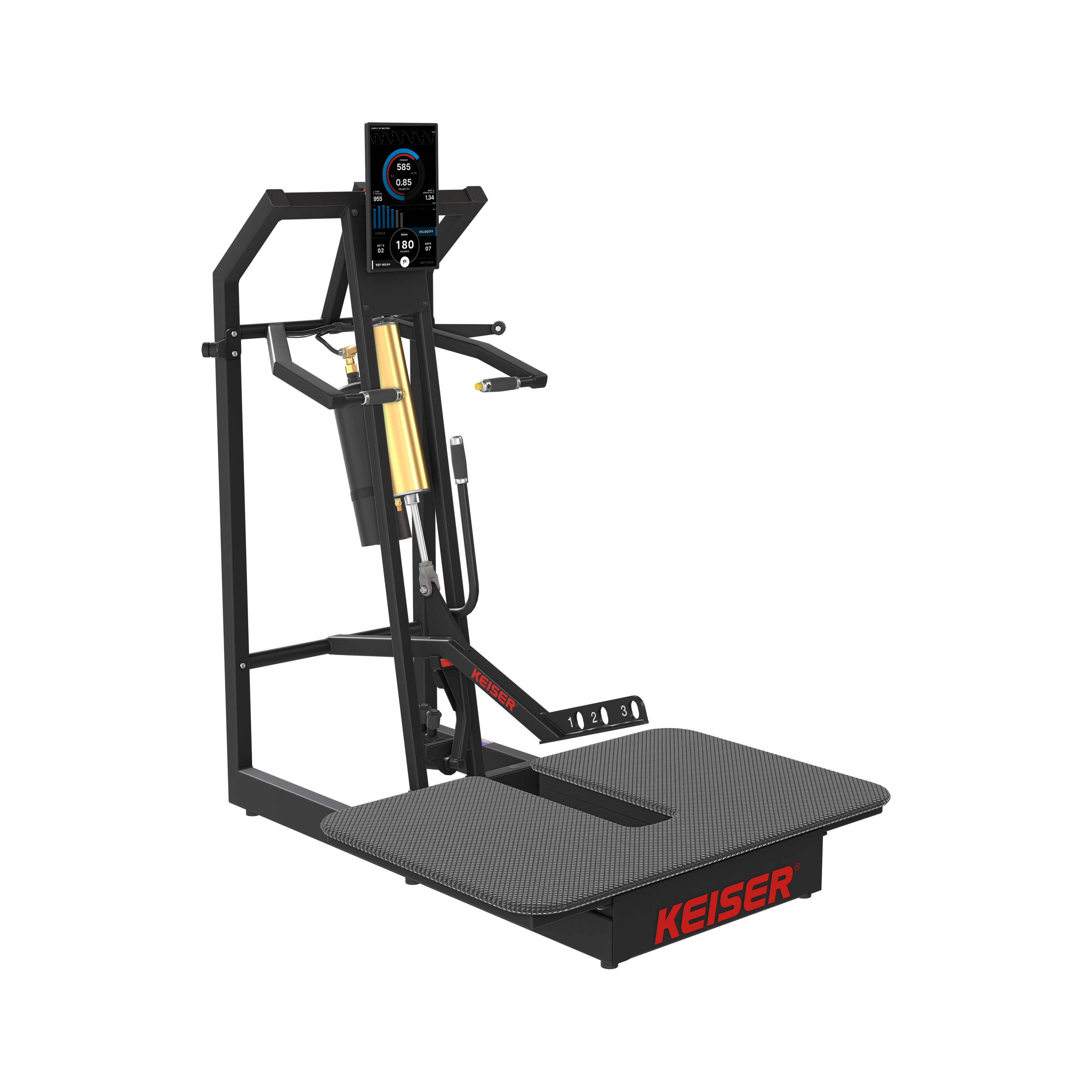 BELT SQUAT