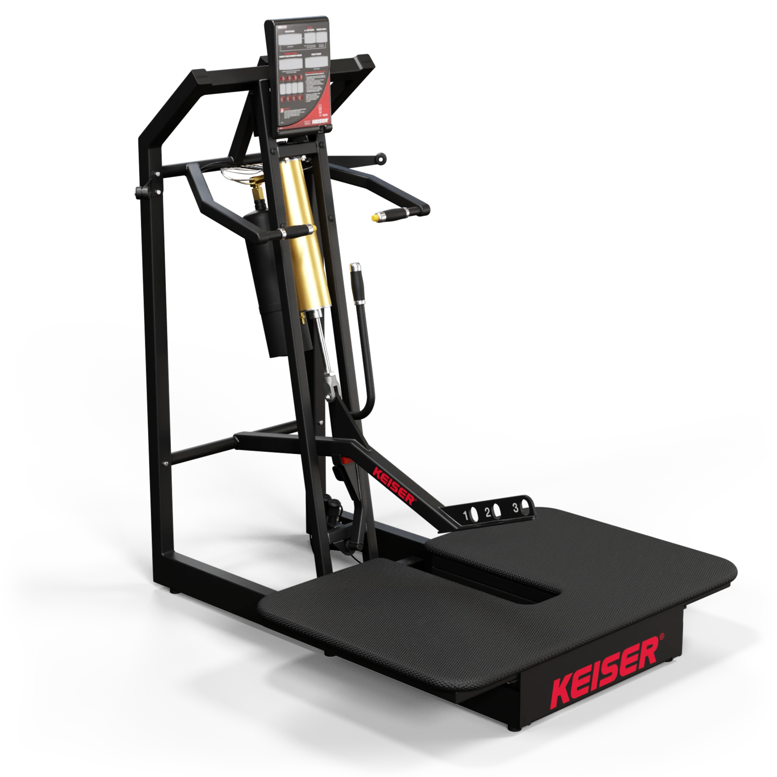 BELT SQUAT