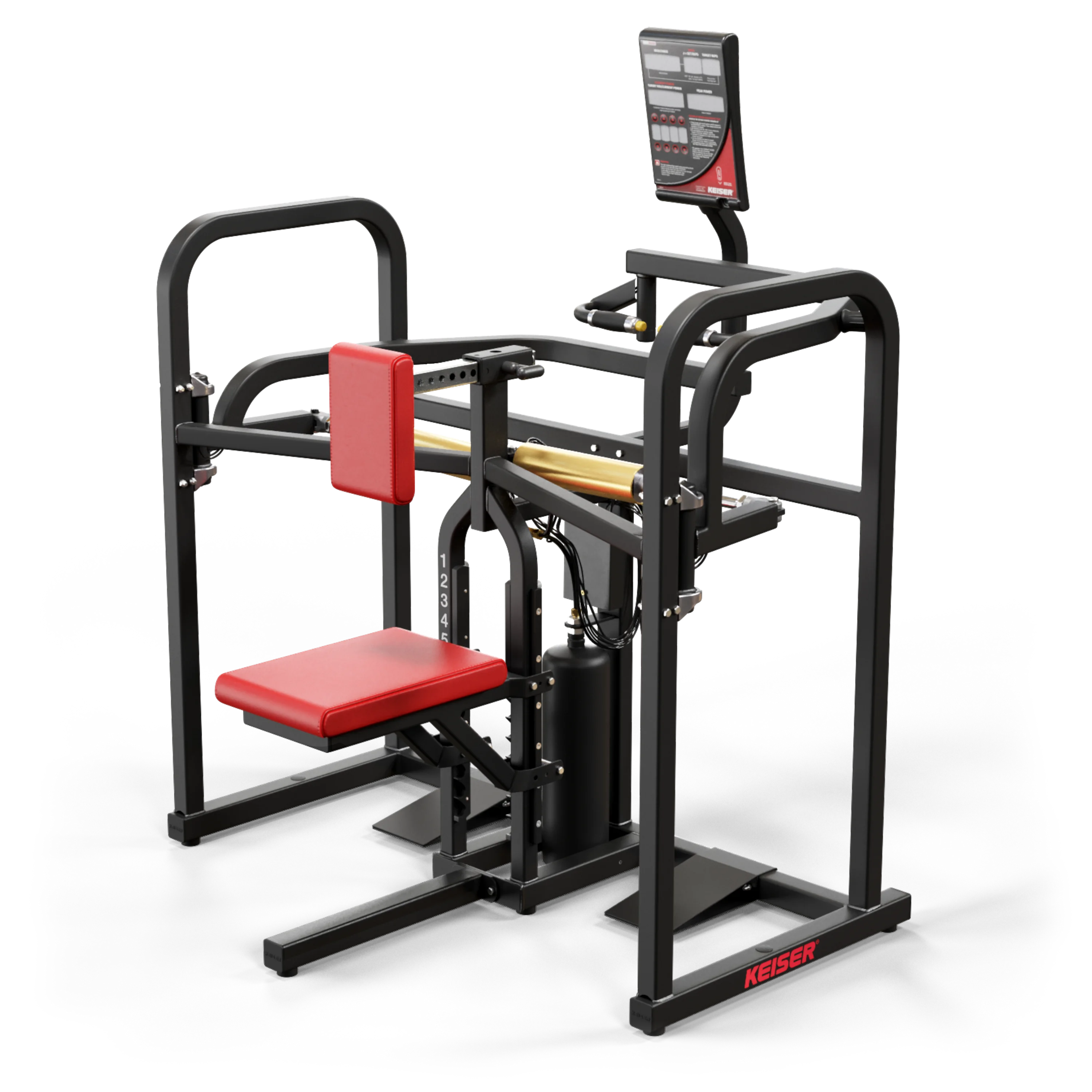 BIAXIAL UPPER BACK