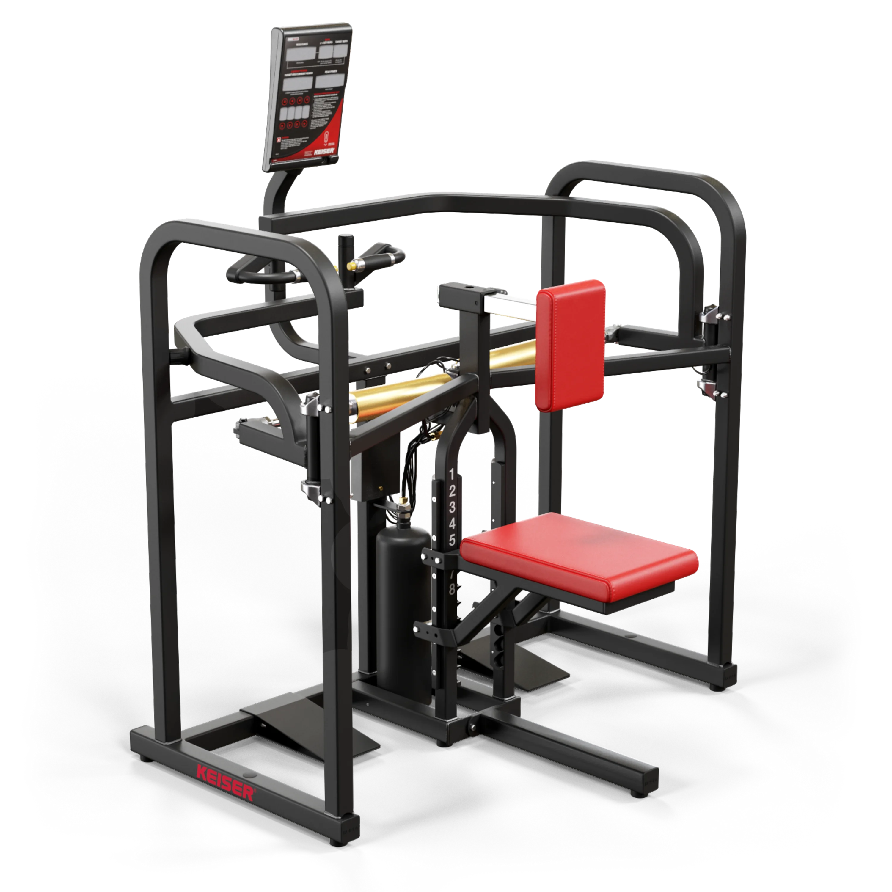 BIAXIAL UPPER BACK