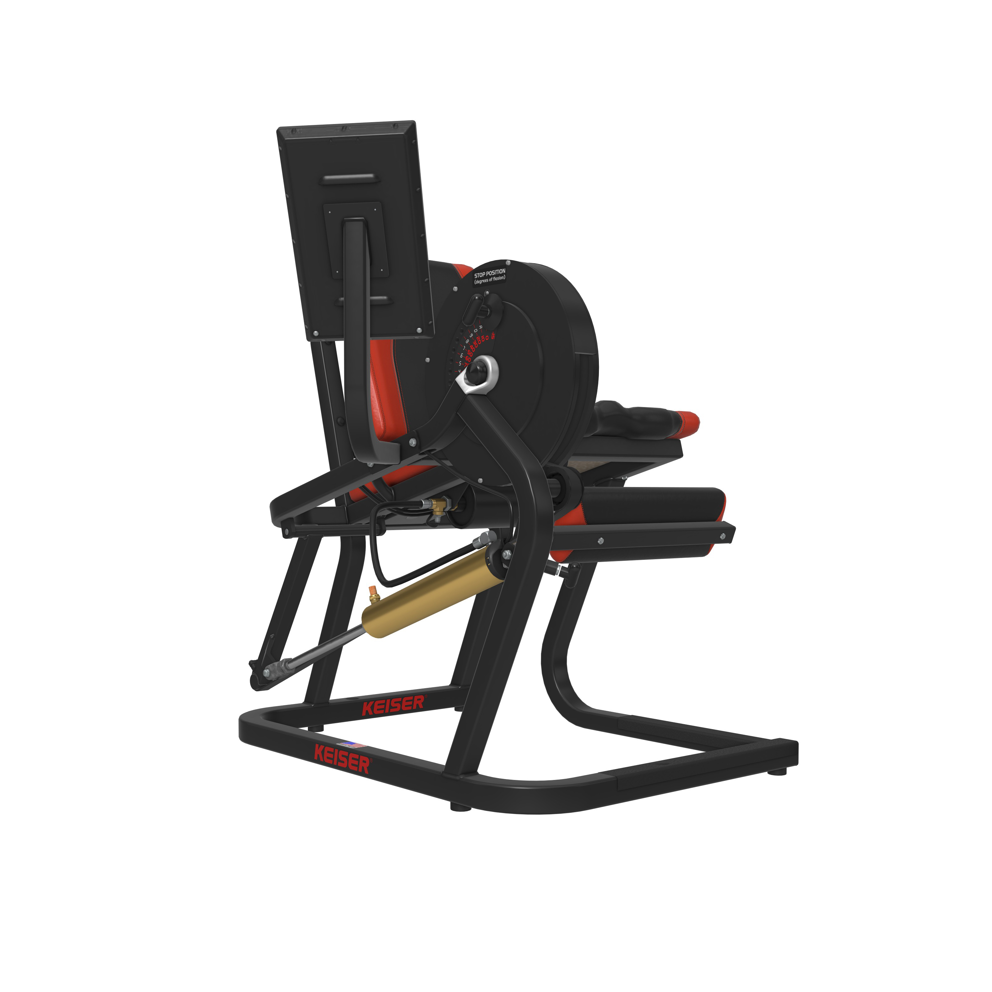 LEG EXTENSION