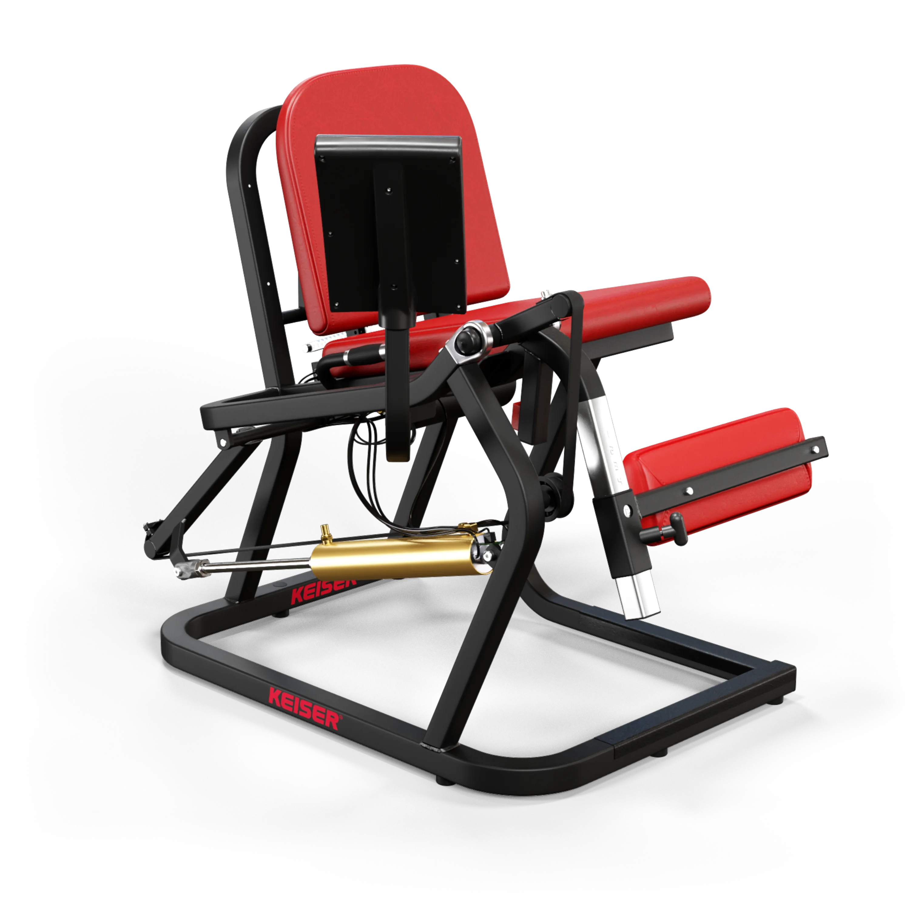 LEG EXTENSION