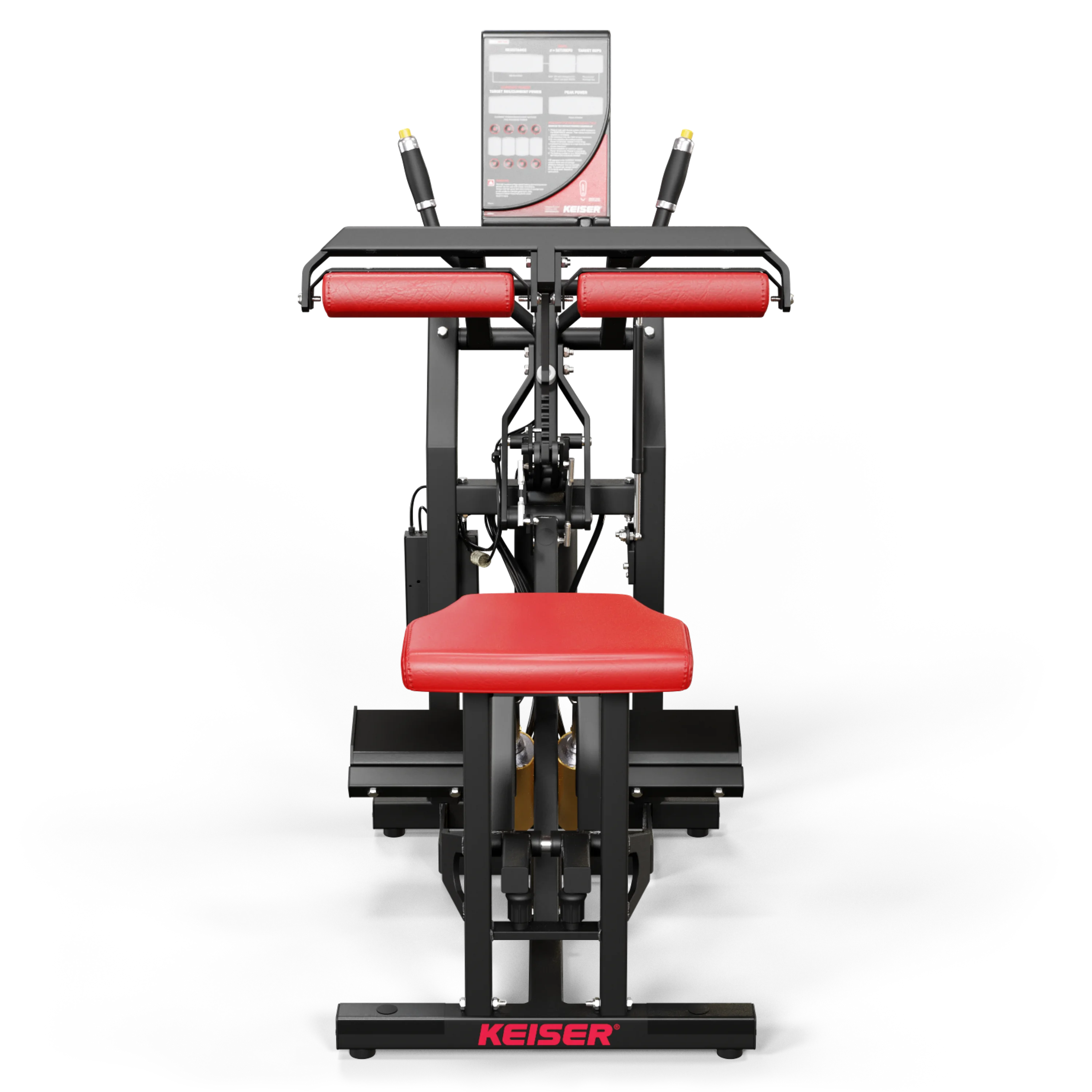SEATED CALF