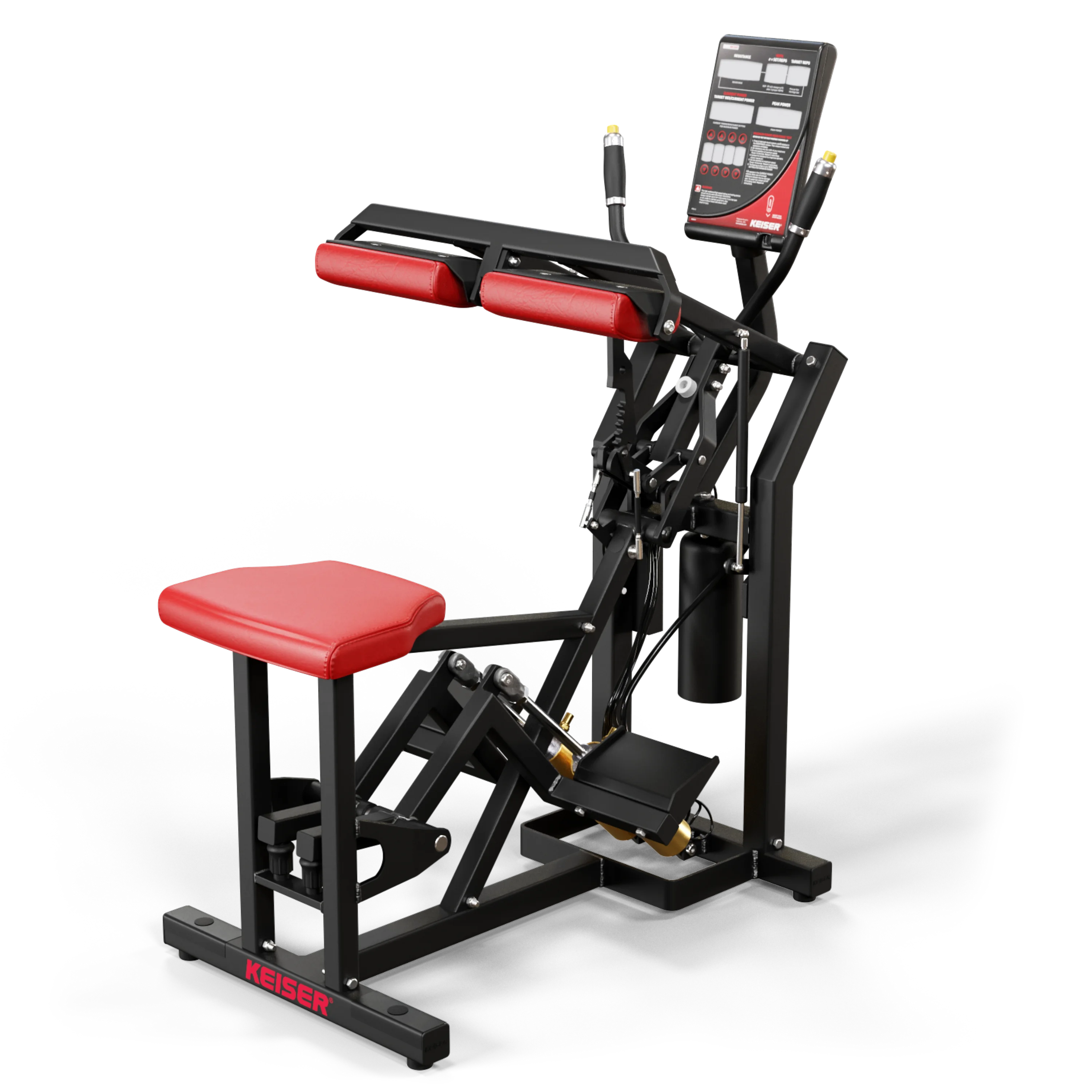 SEATED CALF