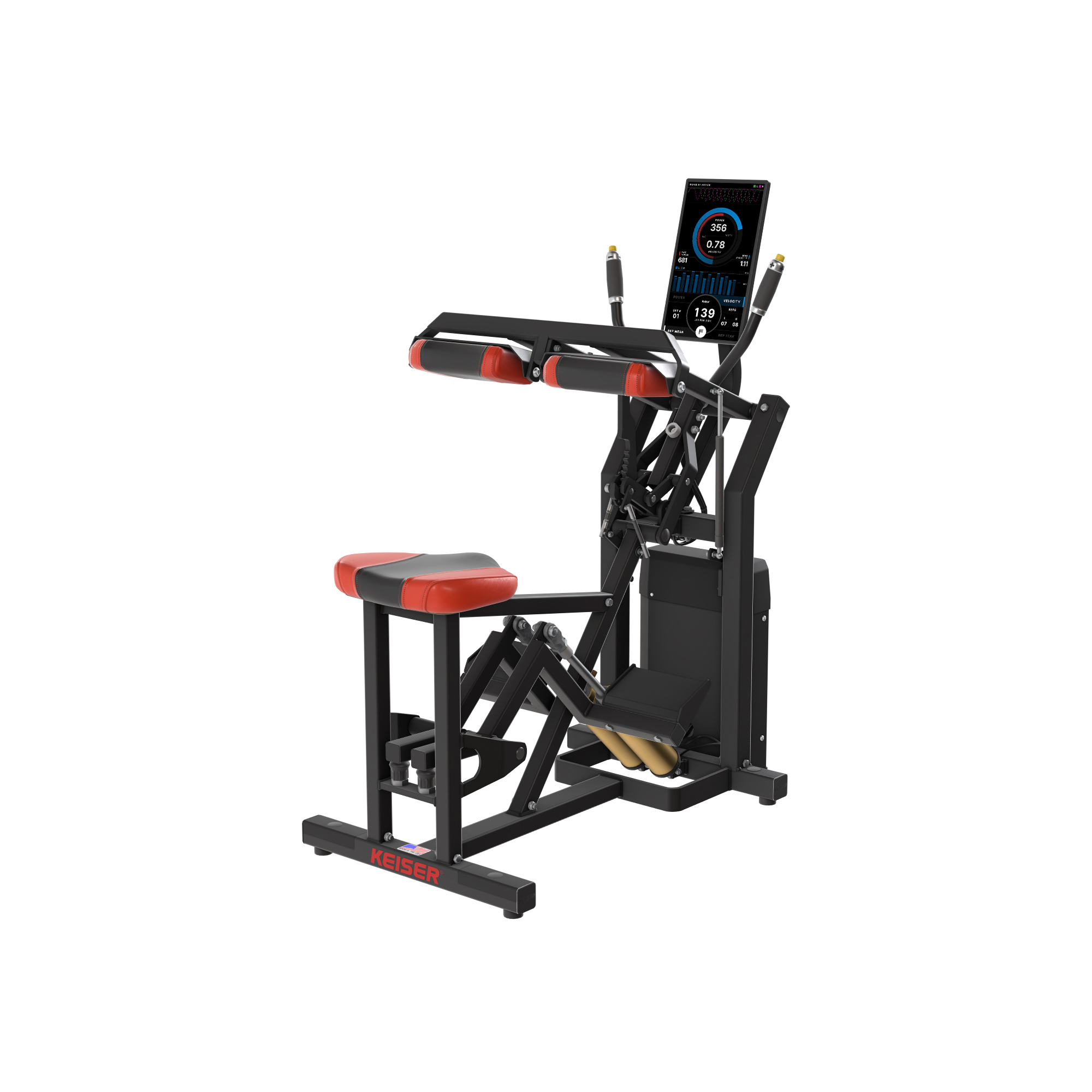 SEATED CALF