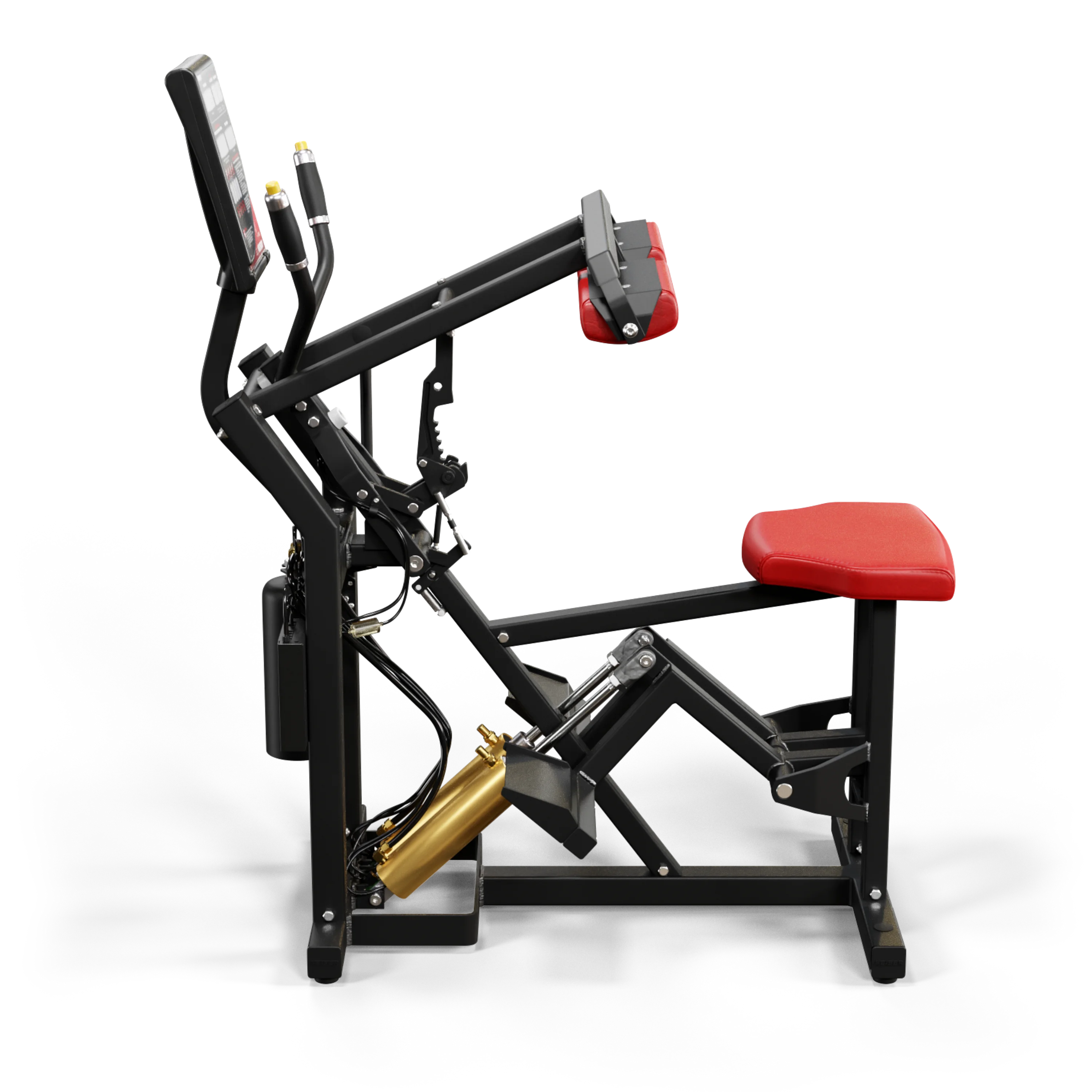 SEATED CALF