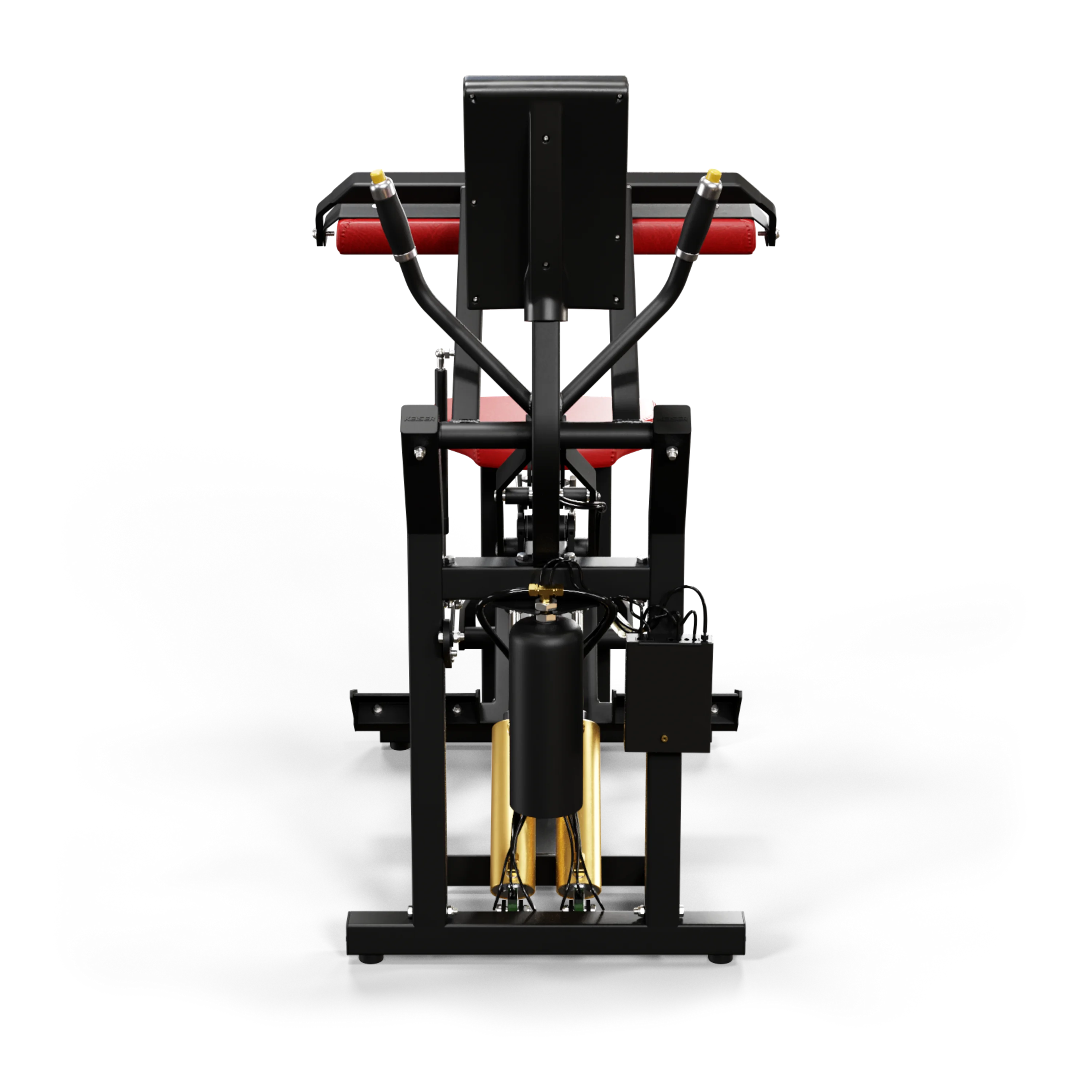 SEATED CALF