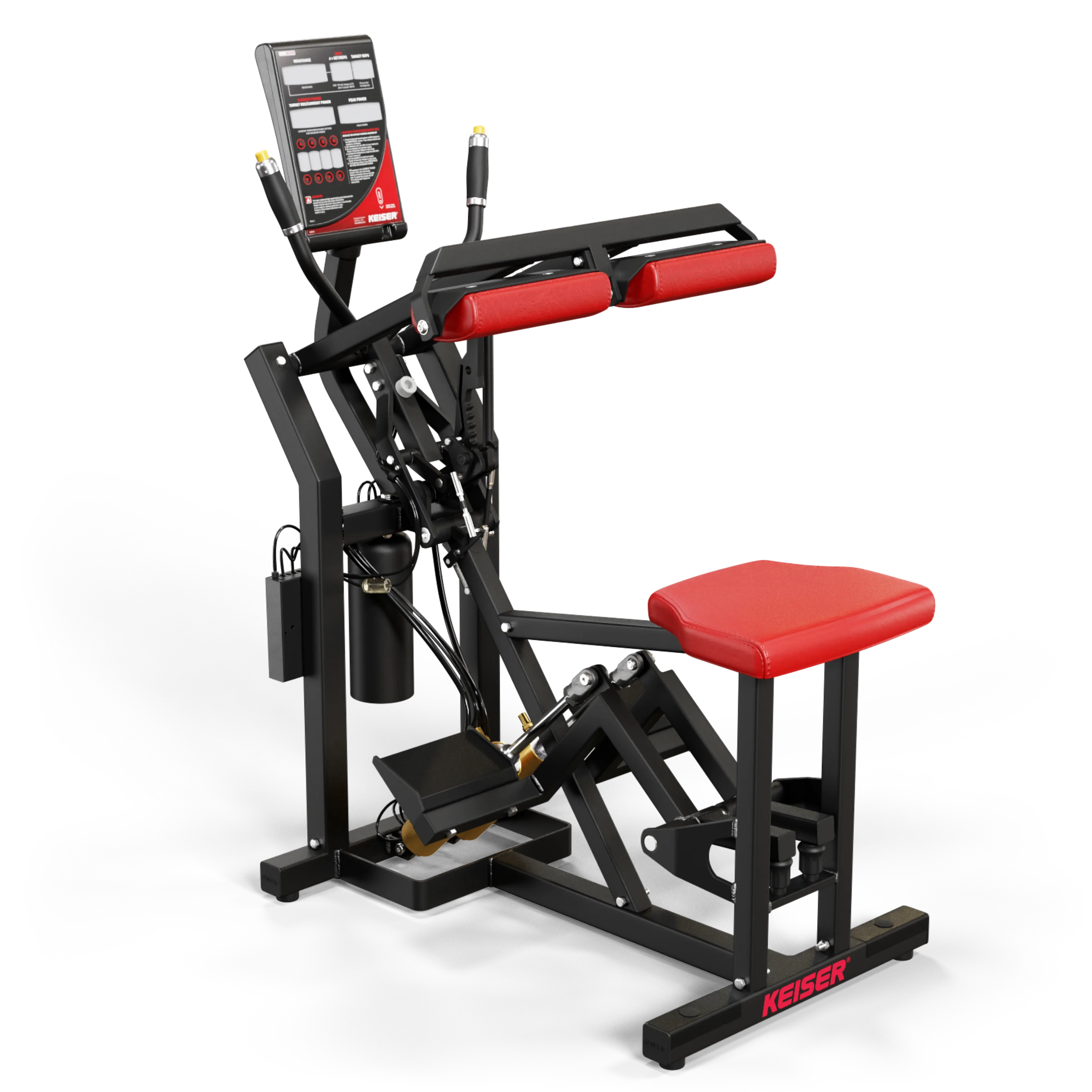 SEATED CALF