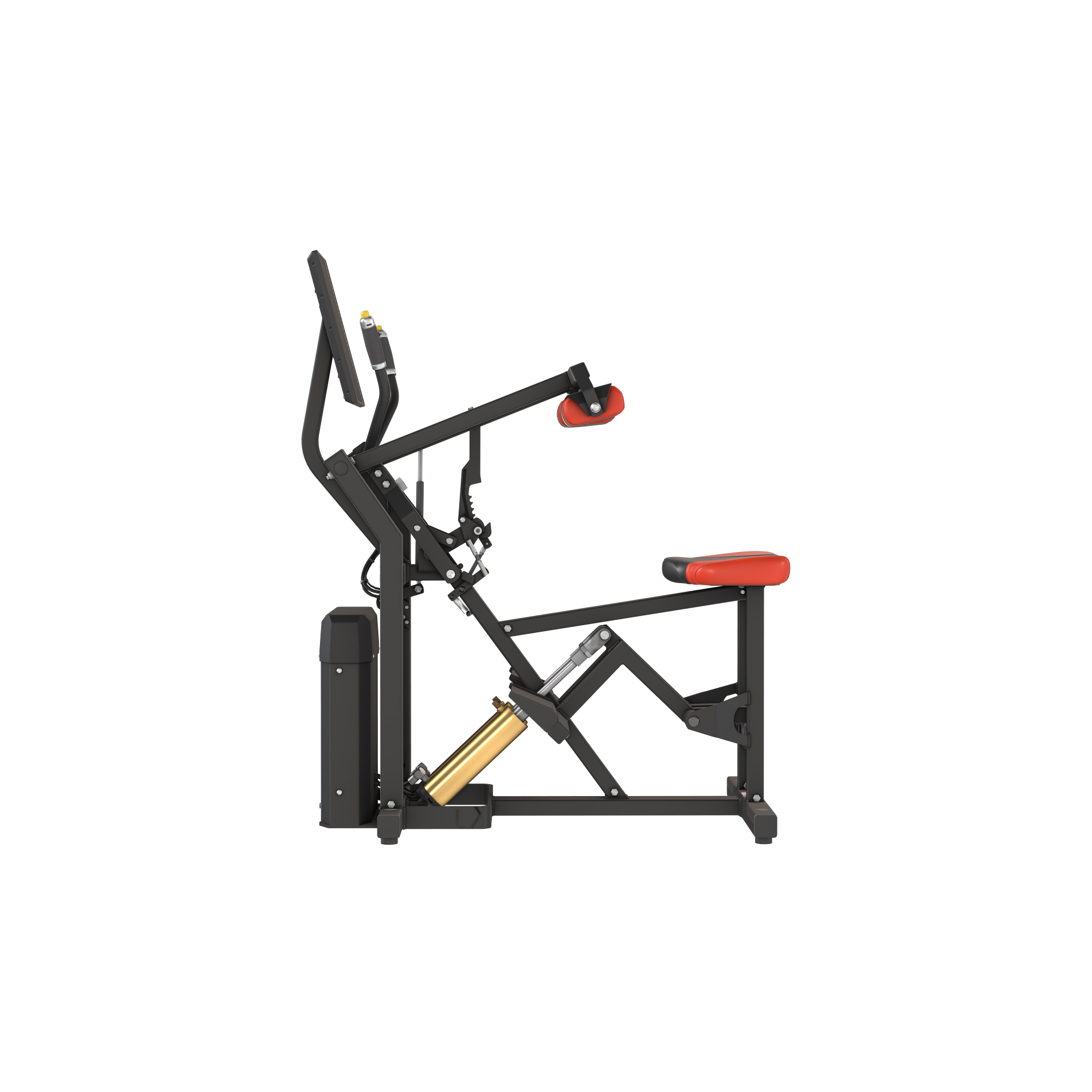 SEATED CALF