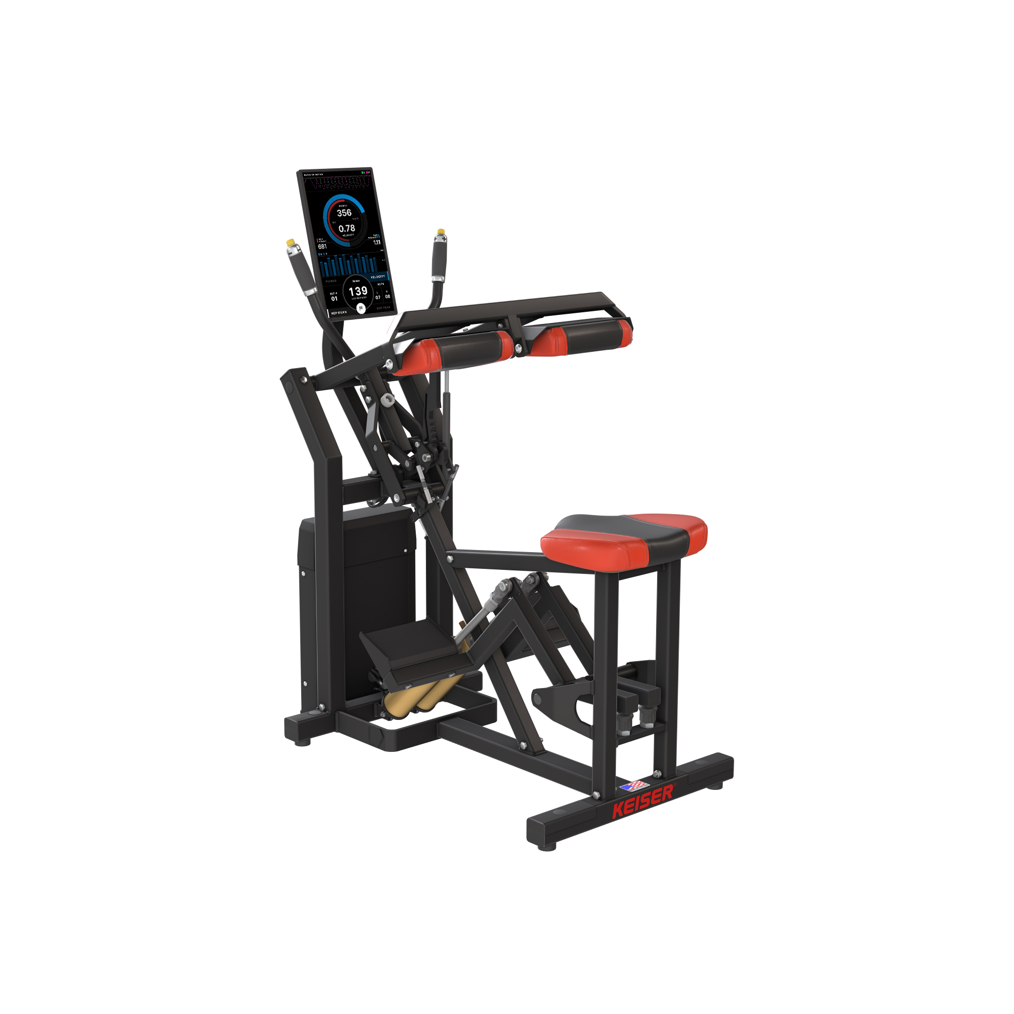 SEATED CALF