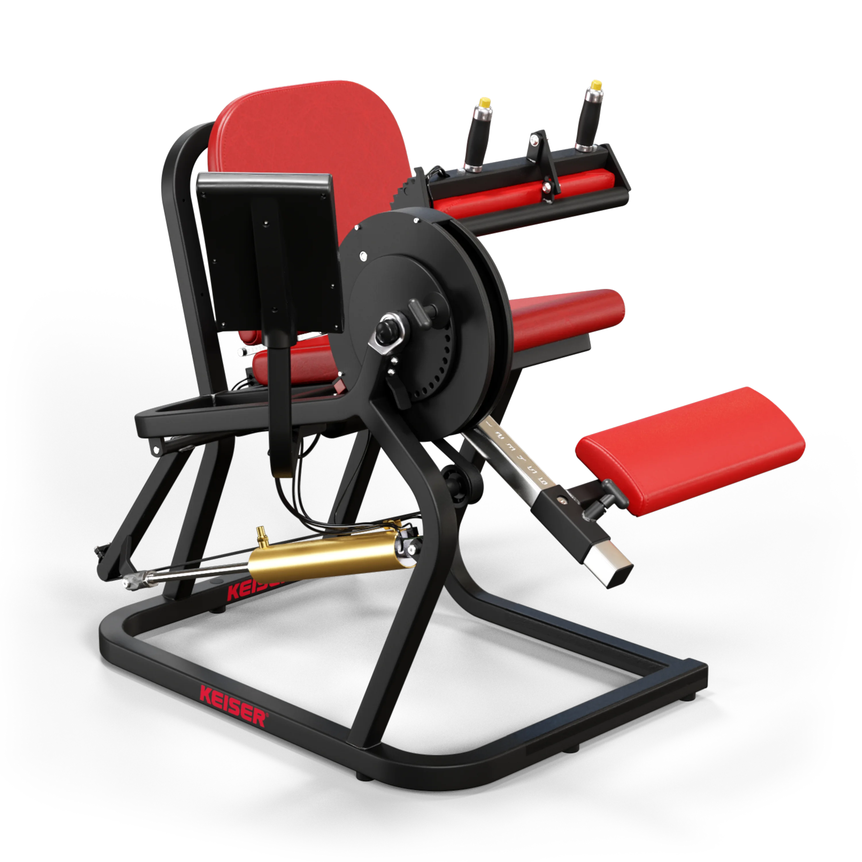 SEATED LEG CURL